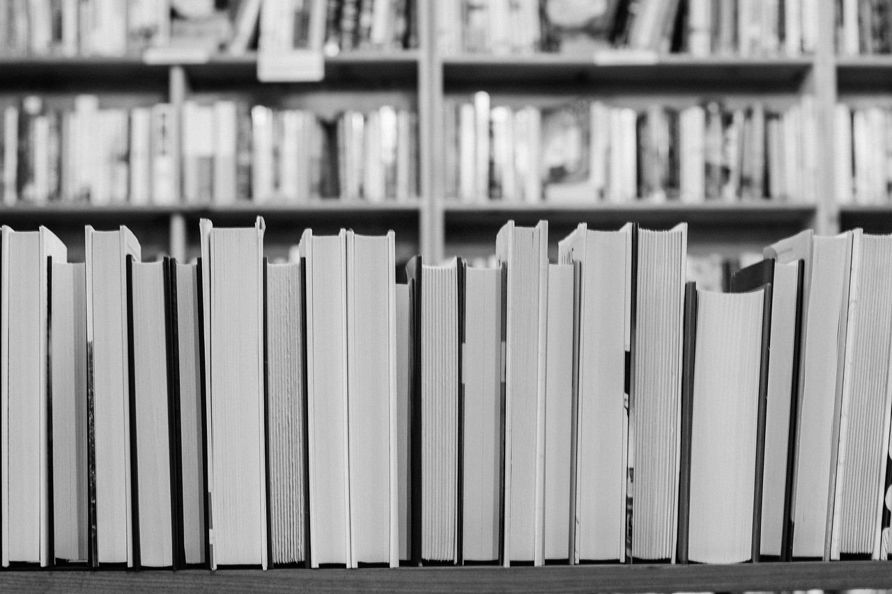 תעודת הוראה בספרות